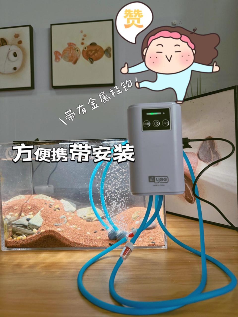 鱼生长是需要氧气的,氧气泵可以增加水中的氧气含量,并且鱼缸里玫的