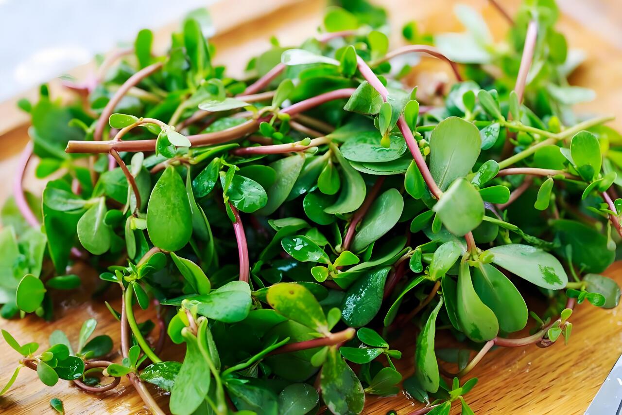 痛风最怕的一种草,痛风专家张卓揭秘