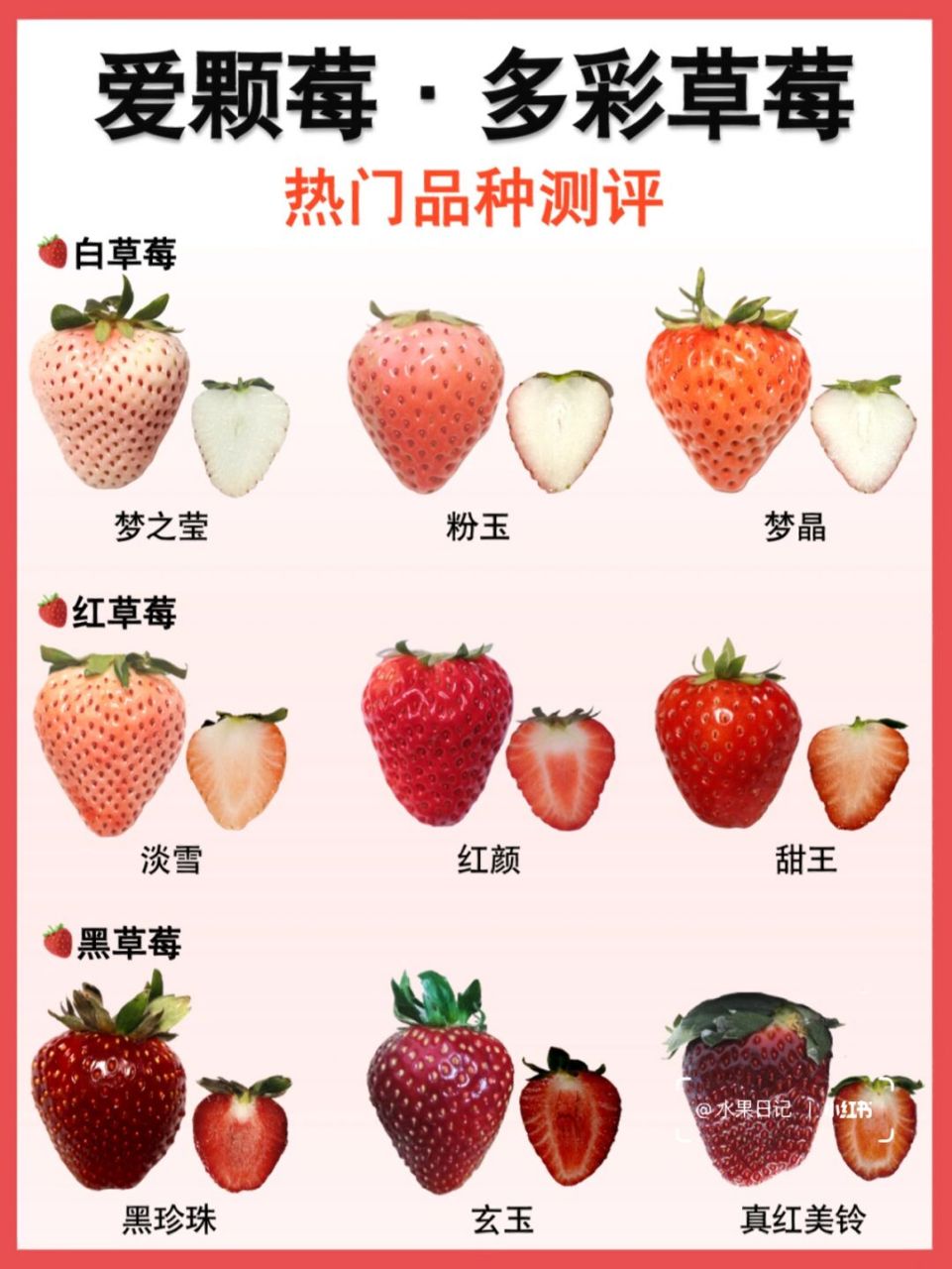 草莓种类品种图片