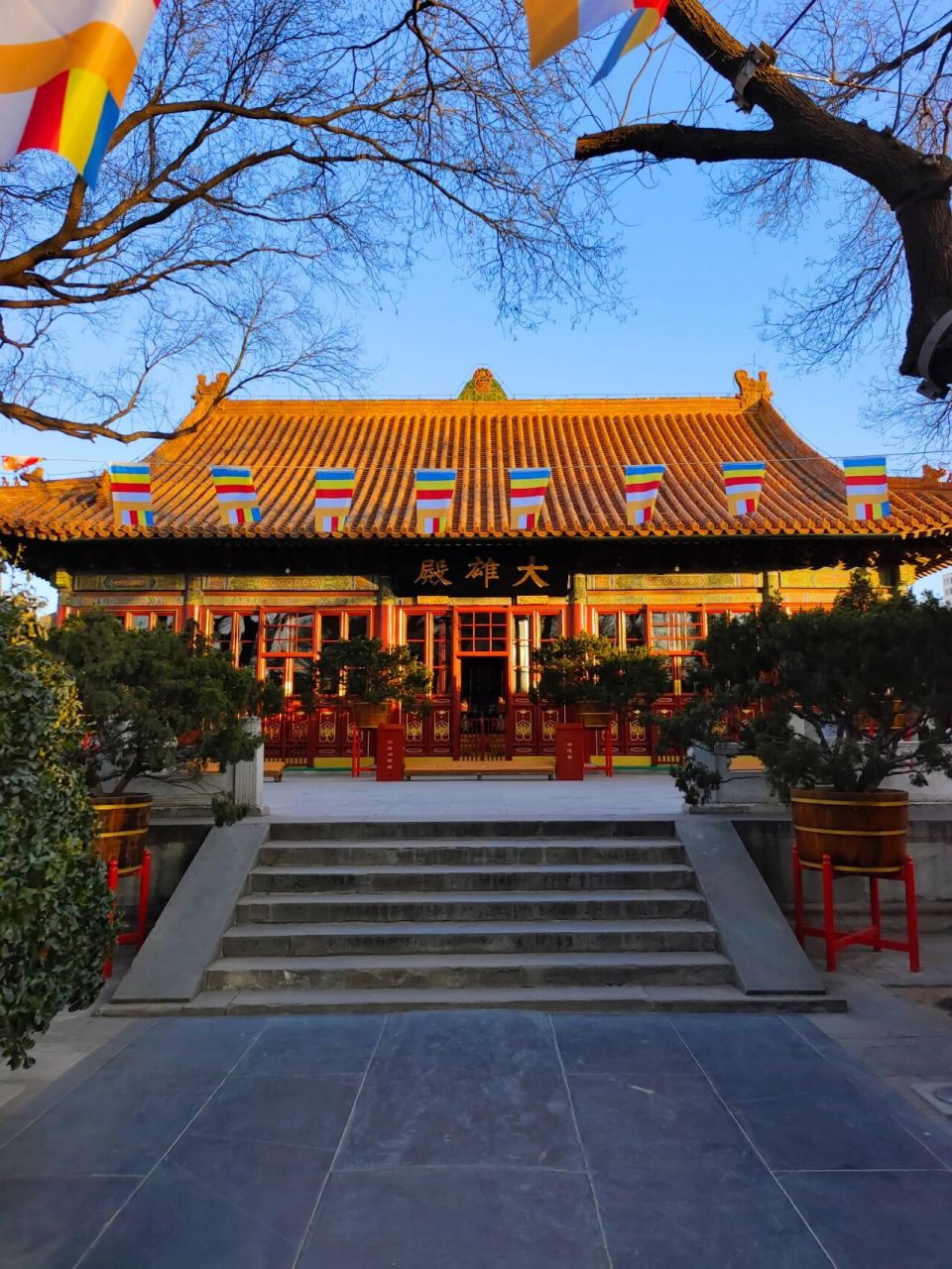 广济寺 中国佛教协会