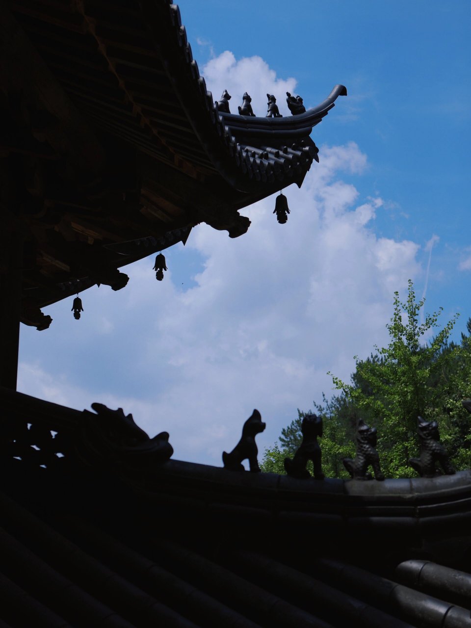 唐代古刹建德玉泉寺 玉泉寺在建德梅城乌龙山上,距齿墨车行40分钟 乃