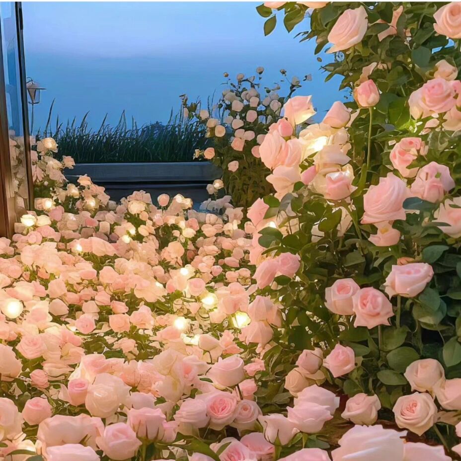 盘点那些我用过的绝美鲜花头像