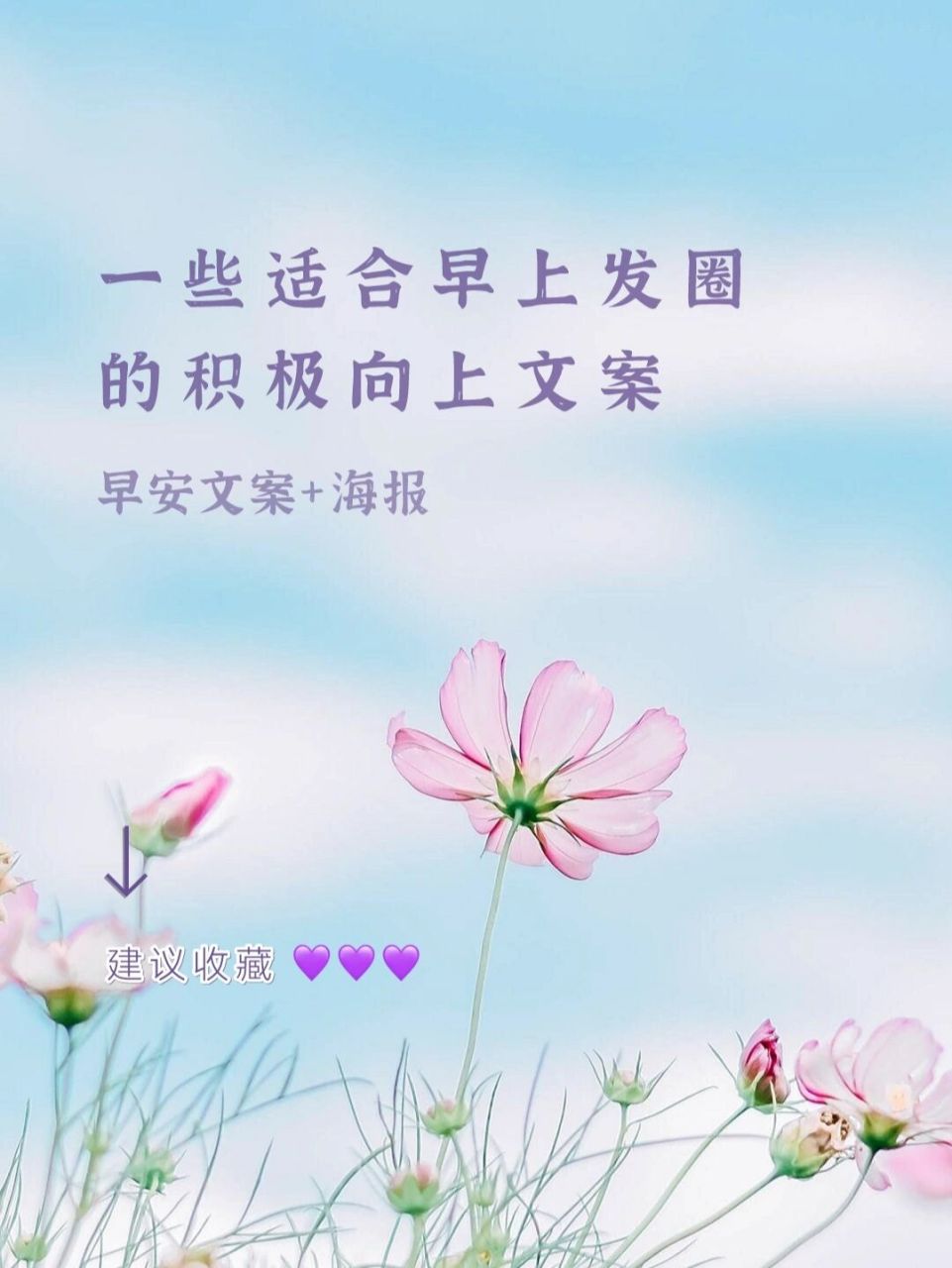 适合发朋友圈的早安文案|早安日签海报 每天更新早安文案  早安原创日