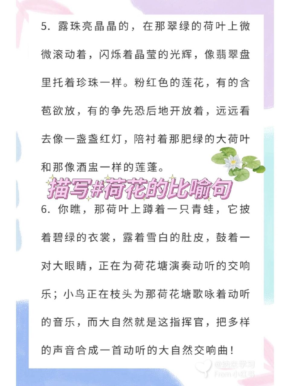 荷花像什么比喻句短句图片