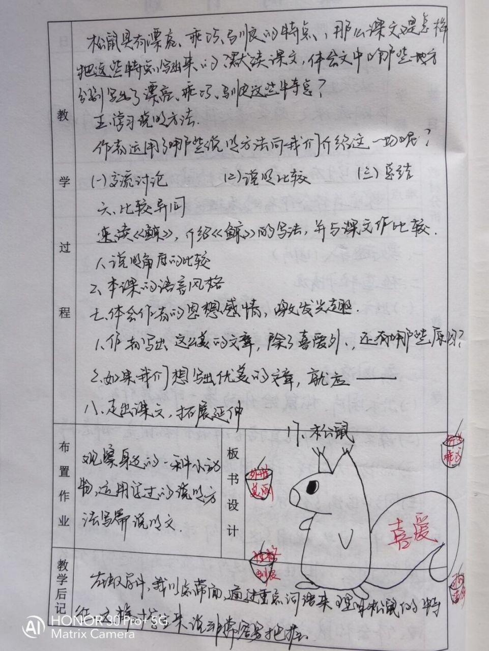 松鼠教案 #语文笔记# #小学语文怎么学# #语文# #五年级# #五年级语文