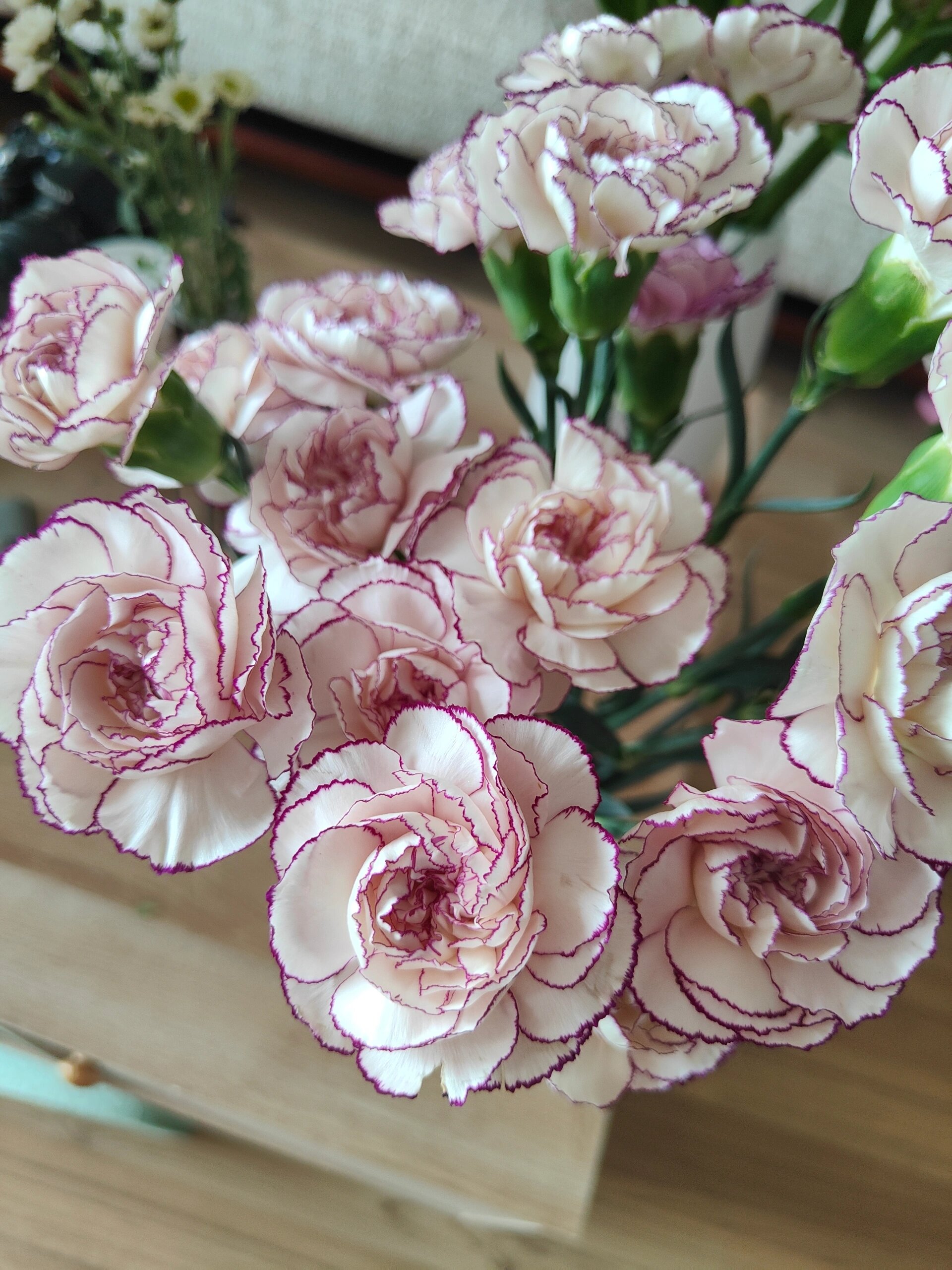 紫精灵95康乃馨 白色紫边康乃馨,图片平平无奇,实物很精致的,内瓣外