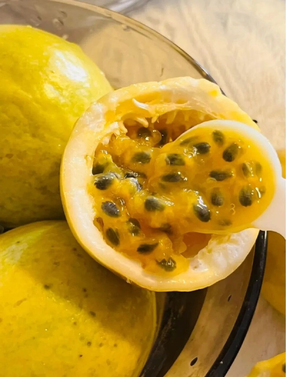 广西钦州的钦蜜9号黄金百香果必须夸!