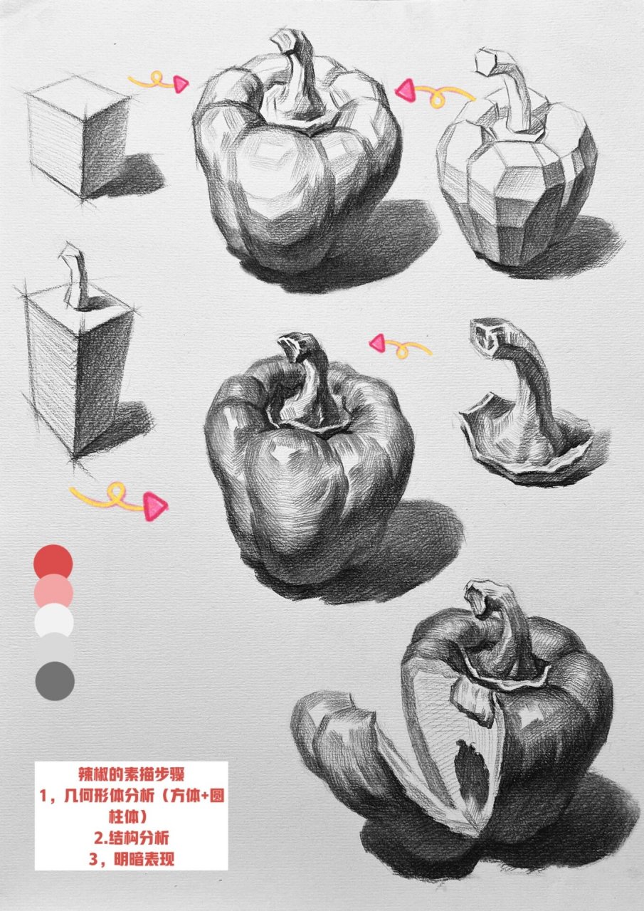 素描静物-青椒素描步骤