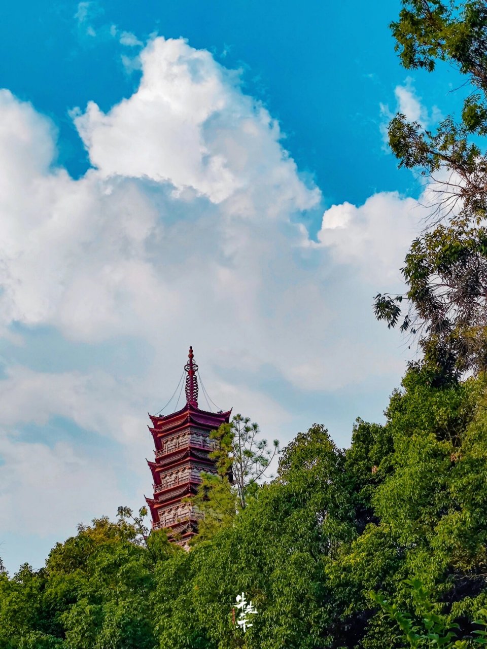 南康|东山公园 我去找你,比我爱你更有意义.