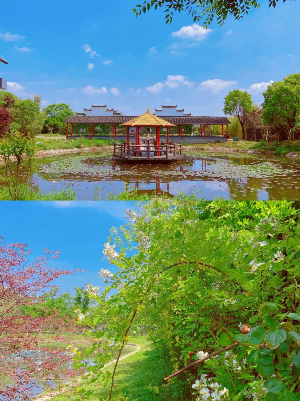 生态园9215附保姆级游玩分享7515 07:万成生态园(导航即可