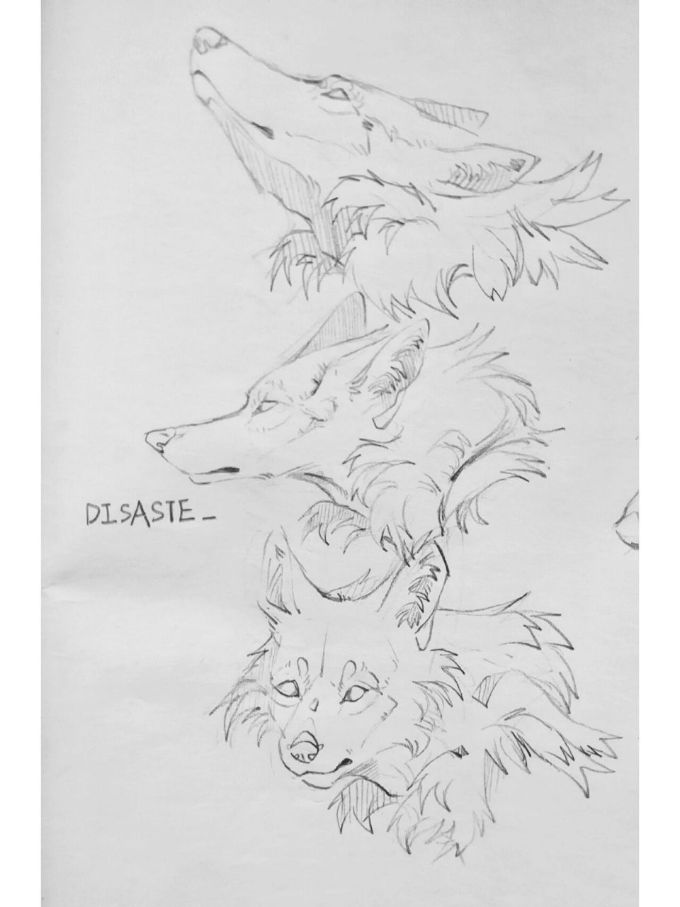 粉福|兽设动作素材 751575157515因为是粉福,所以只有