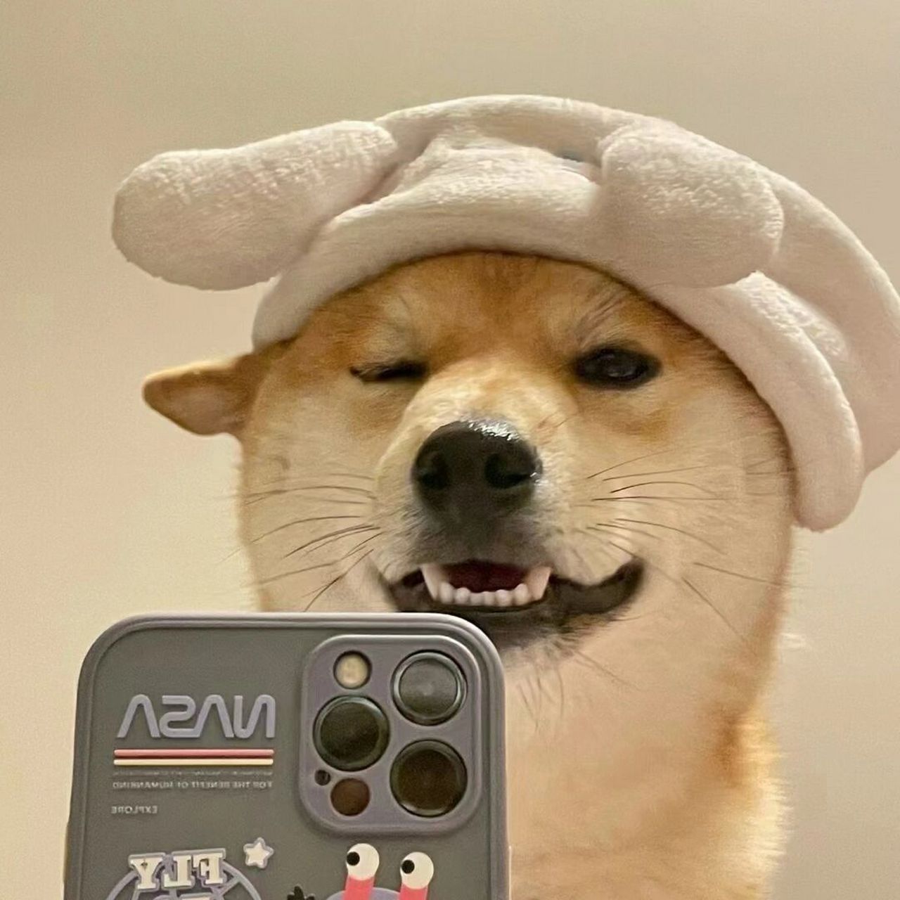 单身狗头像! 在网上搜到的一组头像,太搞笑了,分享一波,自己保存哈