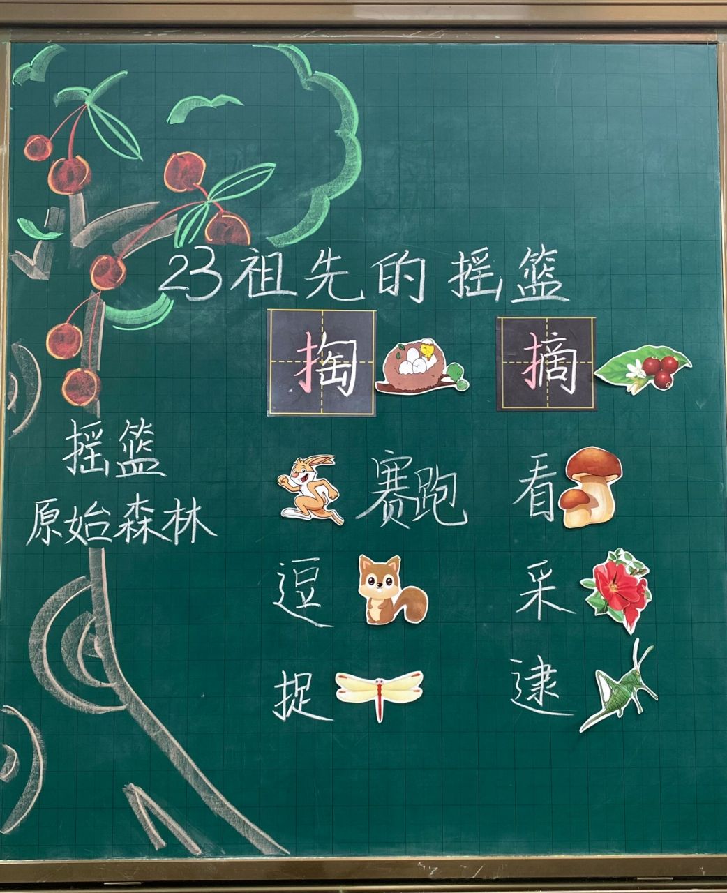 《祖先的摇篮》板书