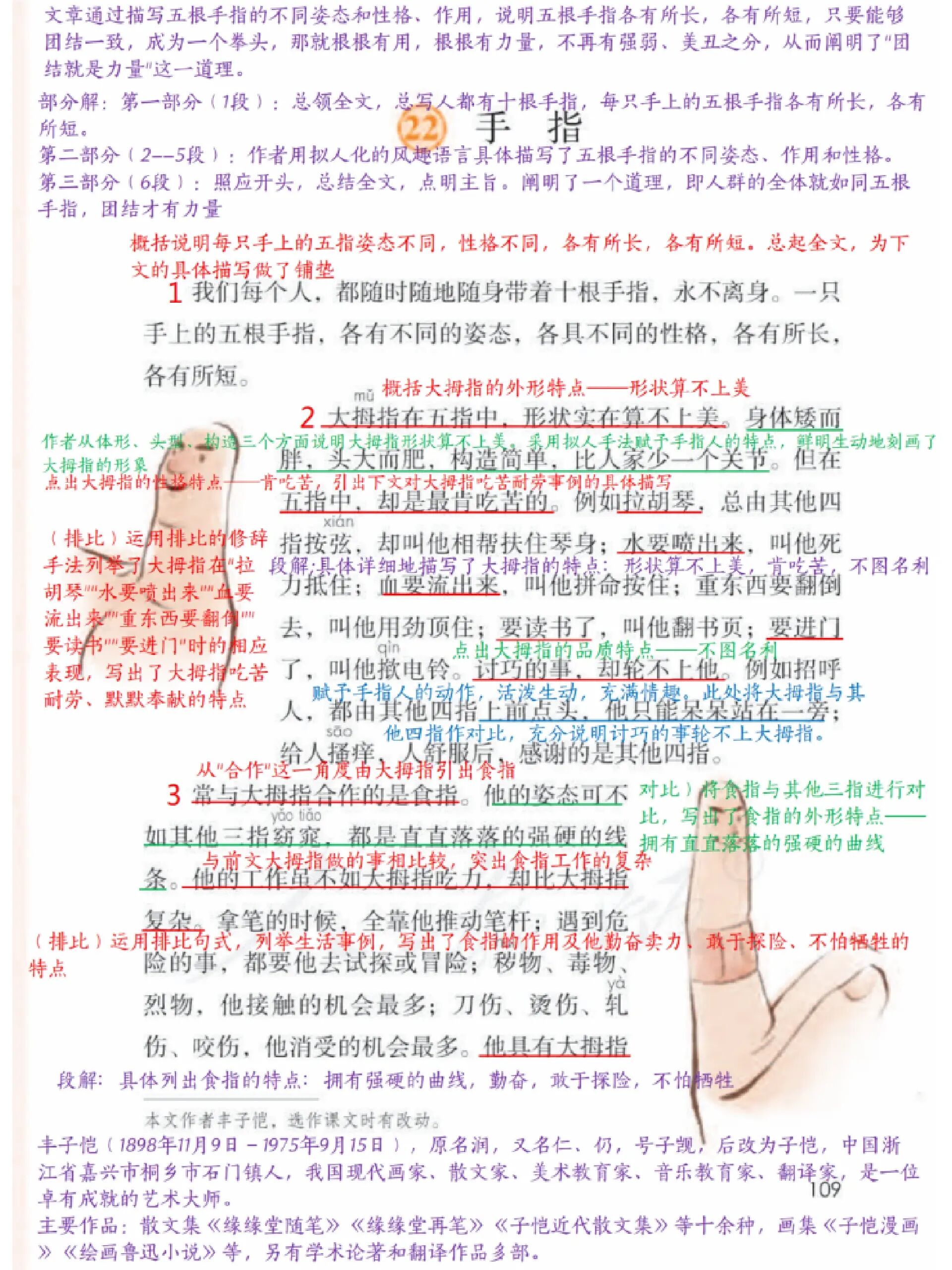《手指》笔记