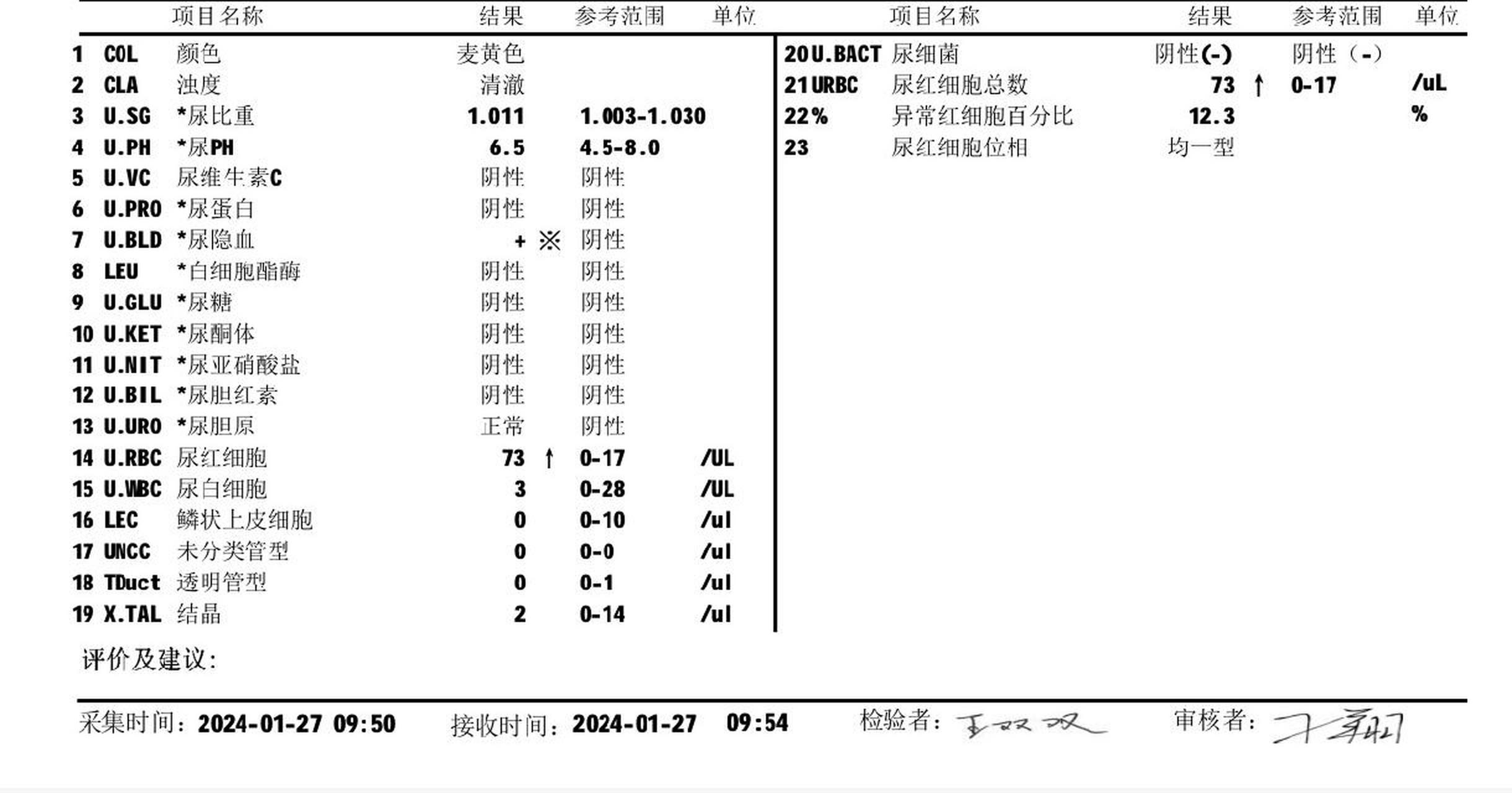 尿沉渣红细胞计数图片