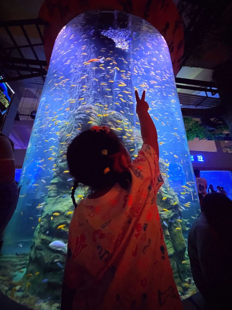 快来商丘海洋馆避暑啦～0469♀15 地方不大,差不多2个小时就能
