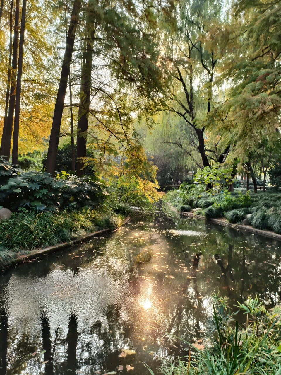 延中绿地广场公园,多彩秋天冲冲冲!