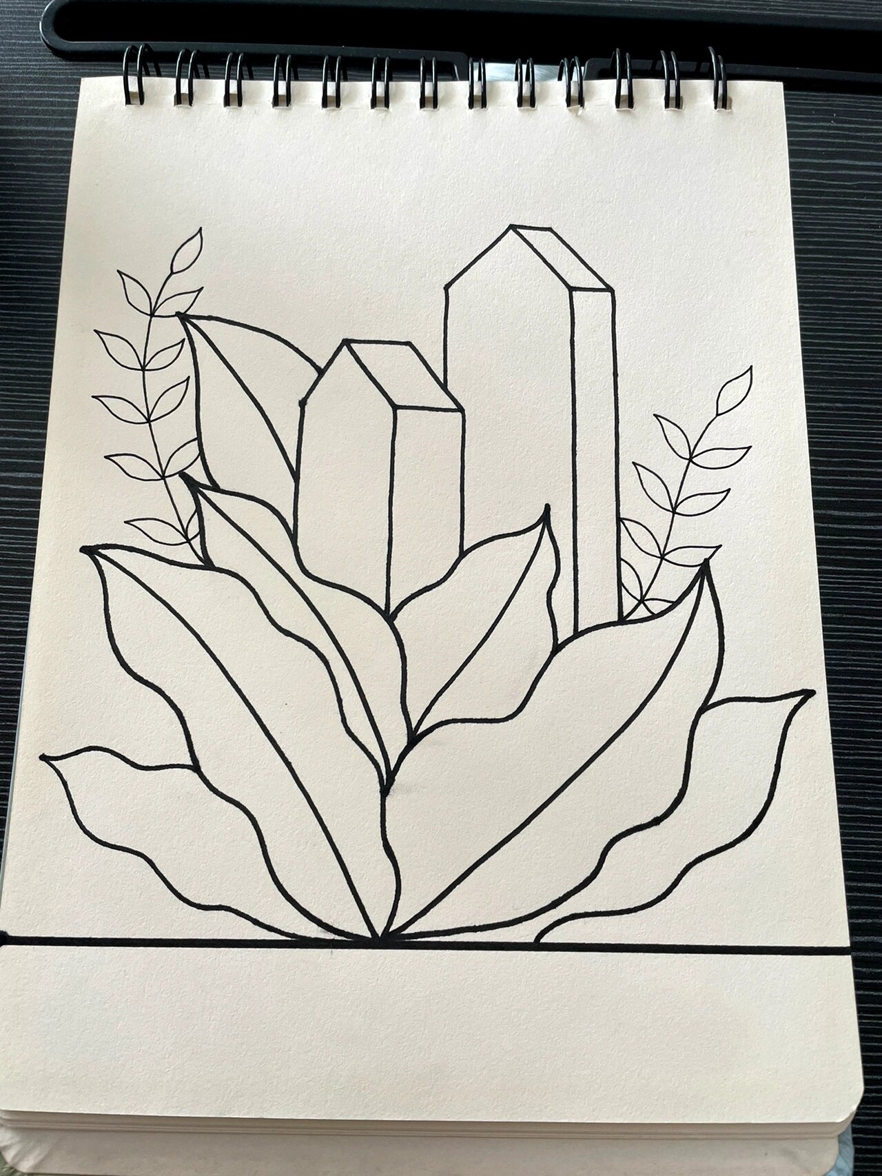 黑白线描画 植物房子 临摹 简单易画