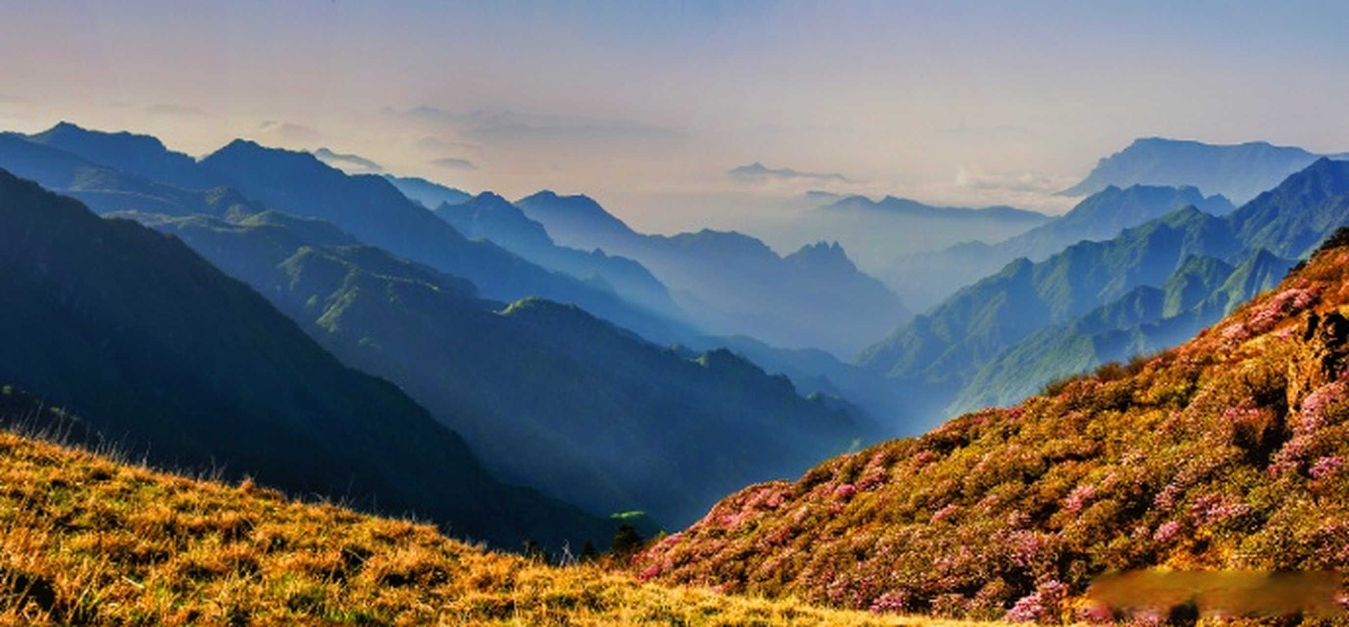 湖北旅游攻略# 【#全国乡村旅游精品线路# 之——神农架赏花之旅】"