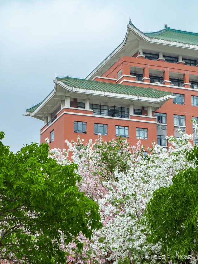 校友快来集合|打卡广州华南农业大学-湿地公园