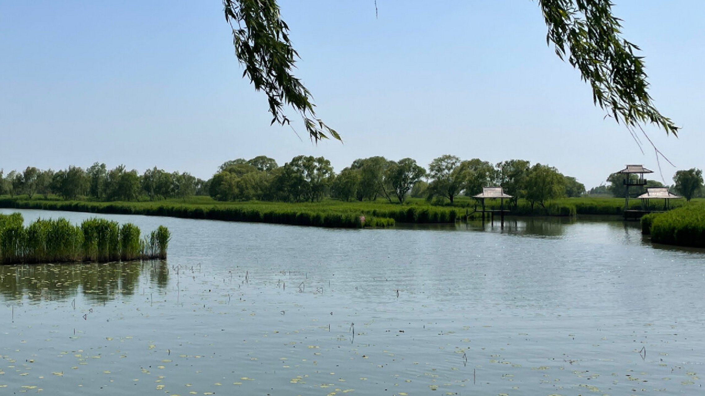 大纵湖旅游景区,位于盐城市的东晋水城旁边,可以两处一并游览,门票