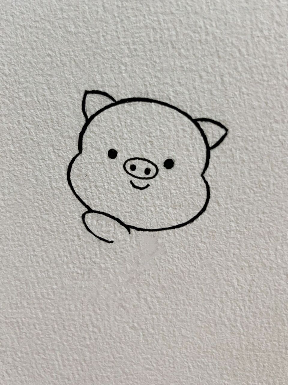 每日简笔画教程63|超可爱的猪猪简笔画