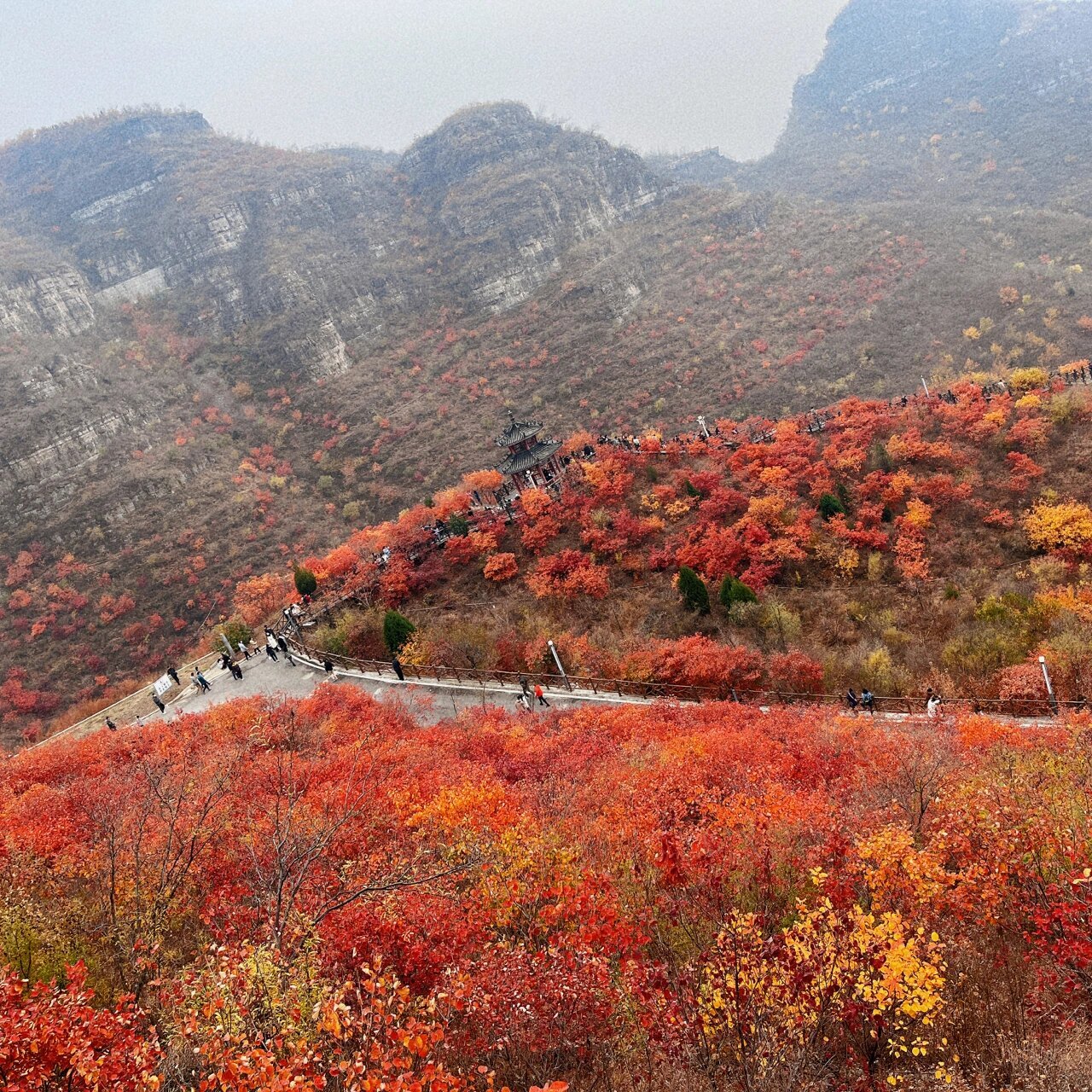 保定红叶景区图片