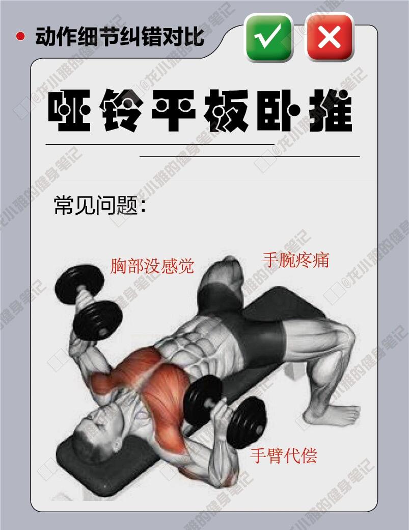 哑铃平板卧推动作要领图片