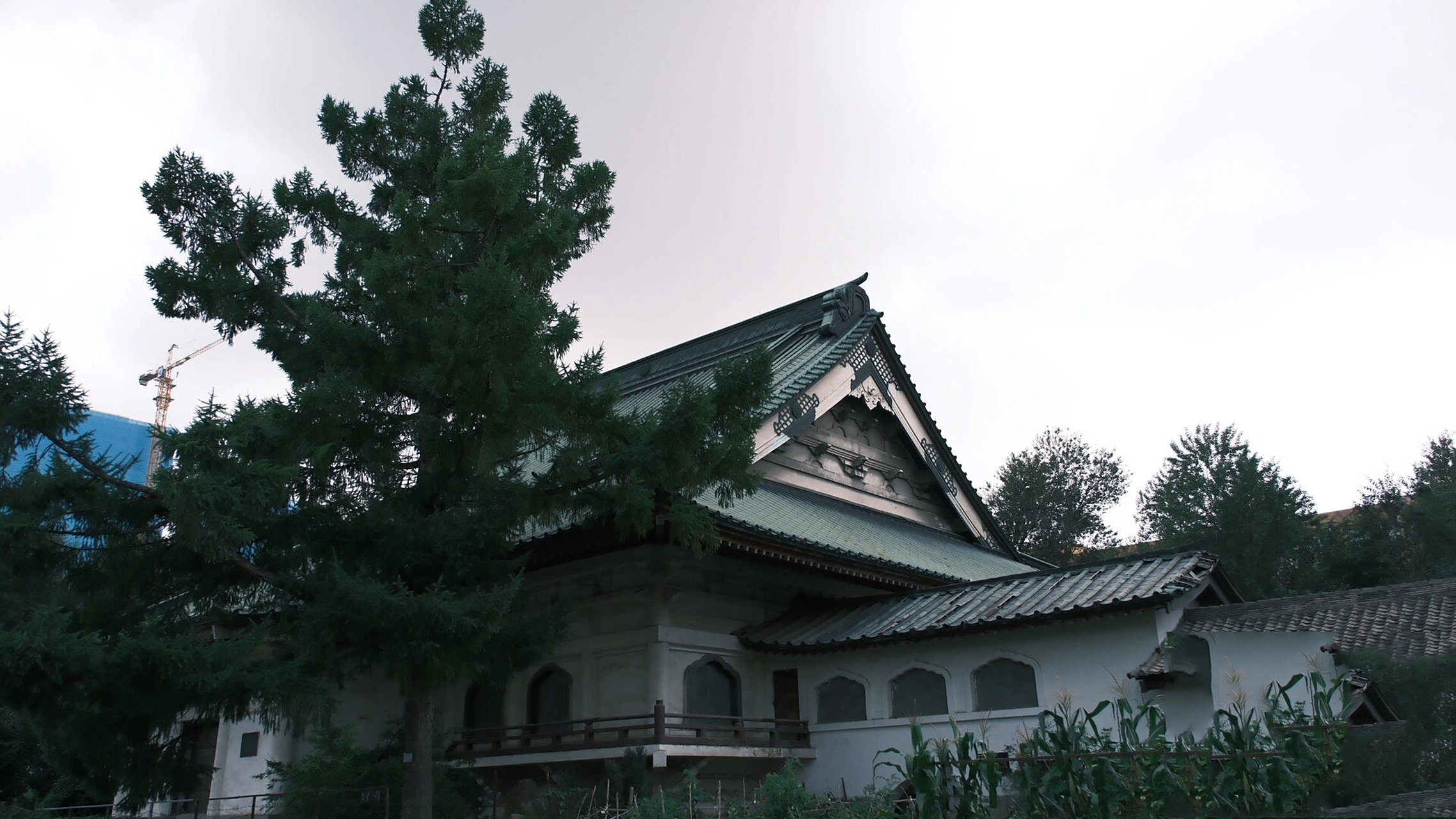 偶遇长春『日本东本愿寺"满洲"别院』旧址 唐破风也好,千鸟破风也罢