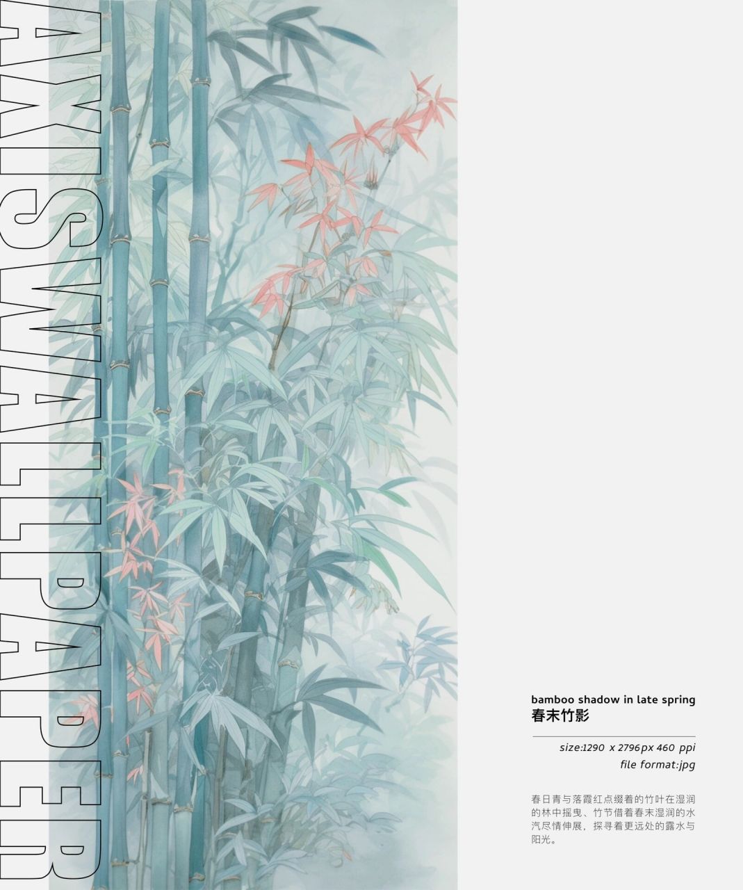 原创壁纸|春末竹影 春日青与落霞红点缀着的竹叶在湿润的林中摇曳