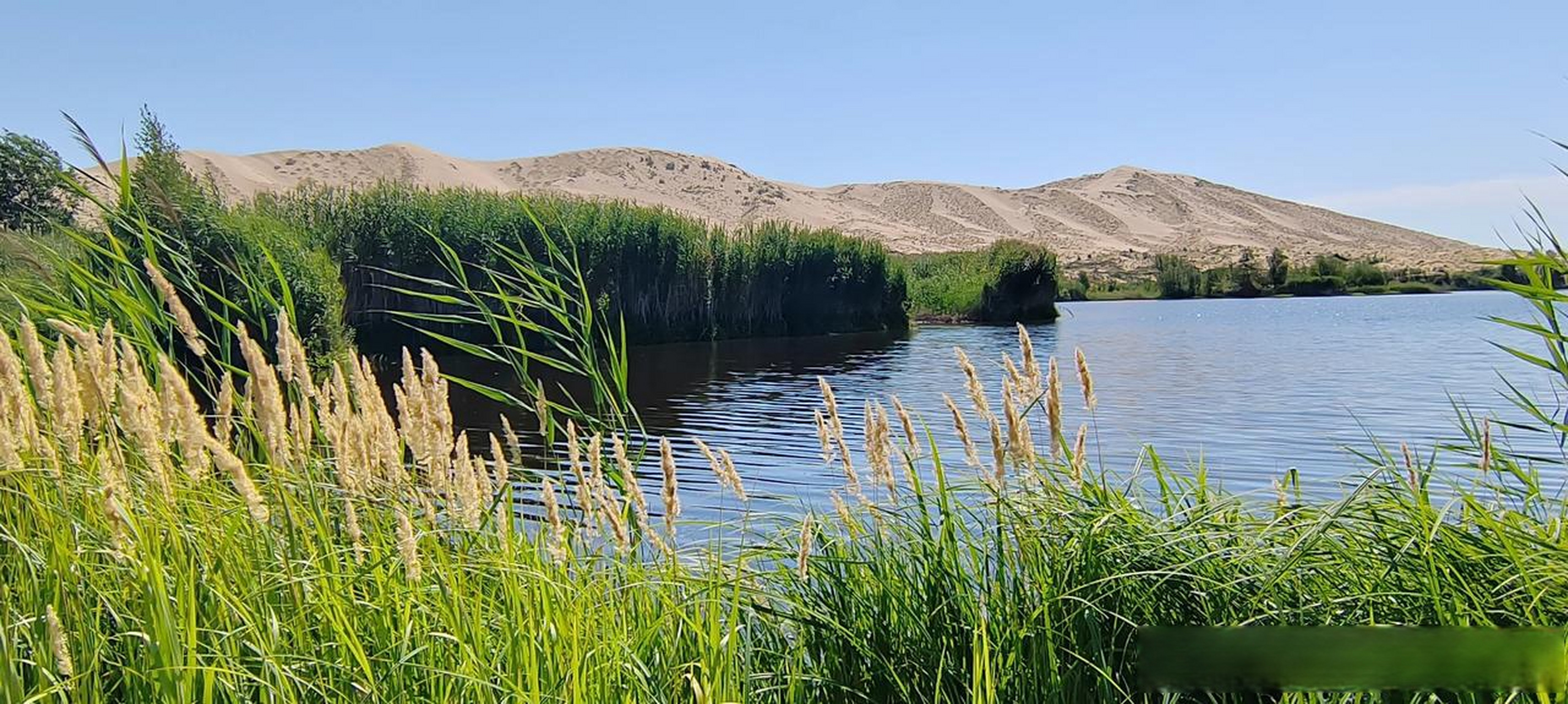 中国边境线上的最后一块璞玉:哈巴河白沙湖