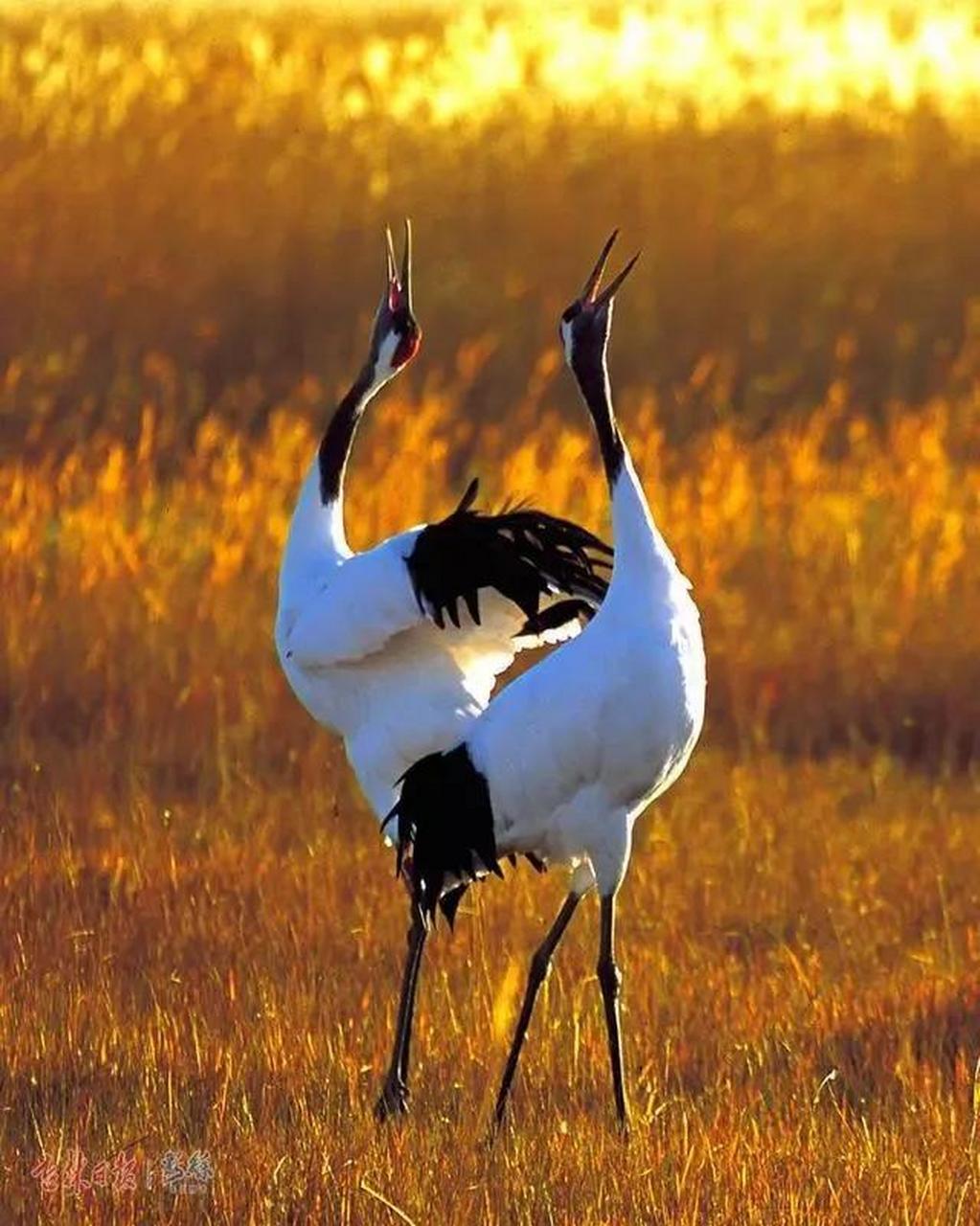 1, 勤俭持家不小气. 2,不化浓妆不花哨. 3,对待感情很专一.