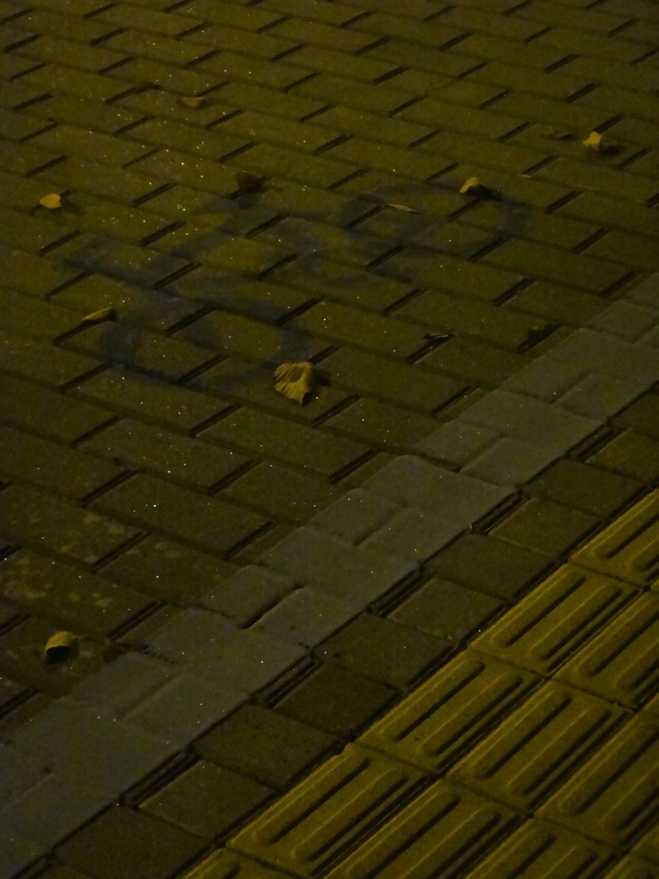 晚上一个人压马路找找构图 摄影92|继承我姐十多年前的老款索尼 在