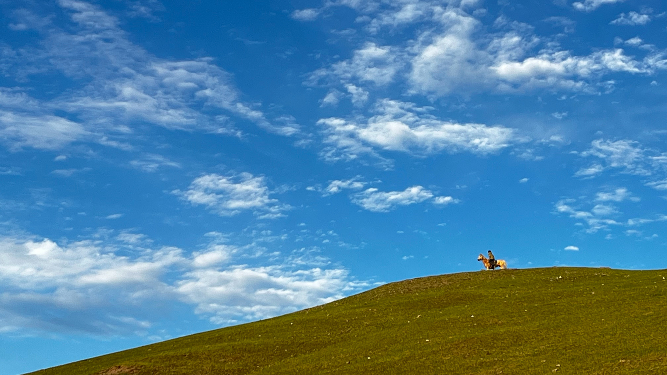 一望无际的大草原上一位套马汉子说道