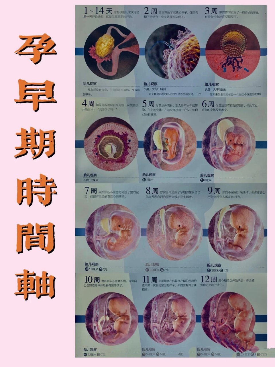 怀孕几周可以测胎心胎芽,你还不知道9397 有的姐妹测到怀孕后就去