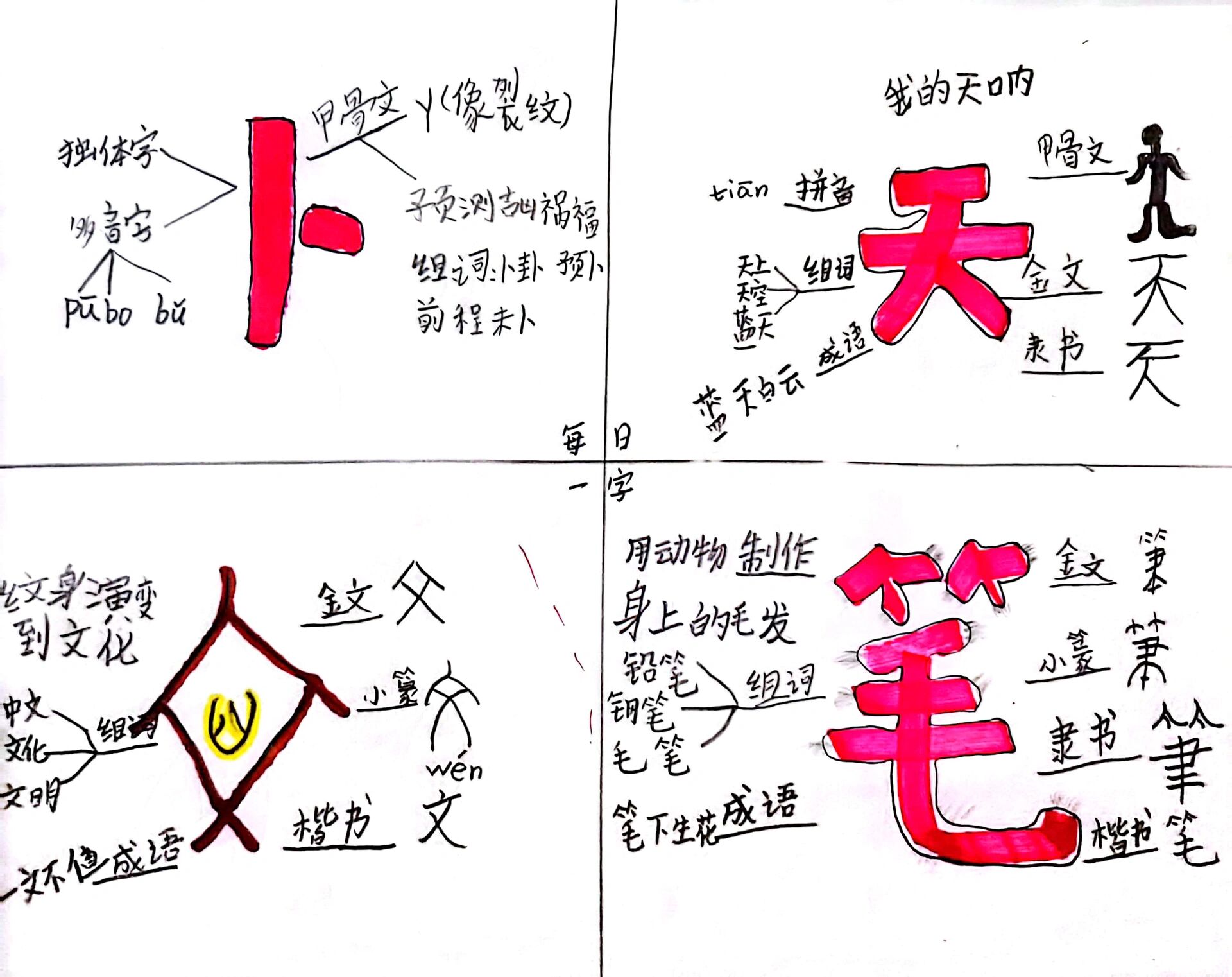 生字家族思维导图图片