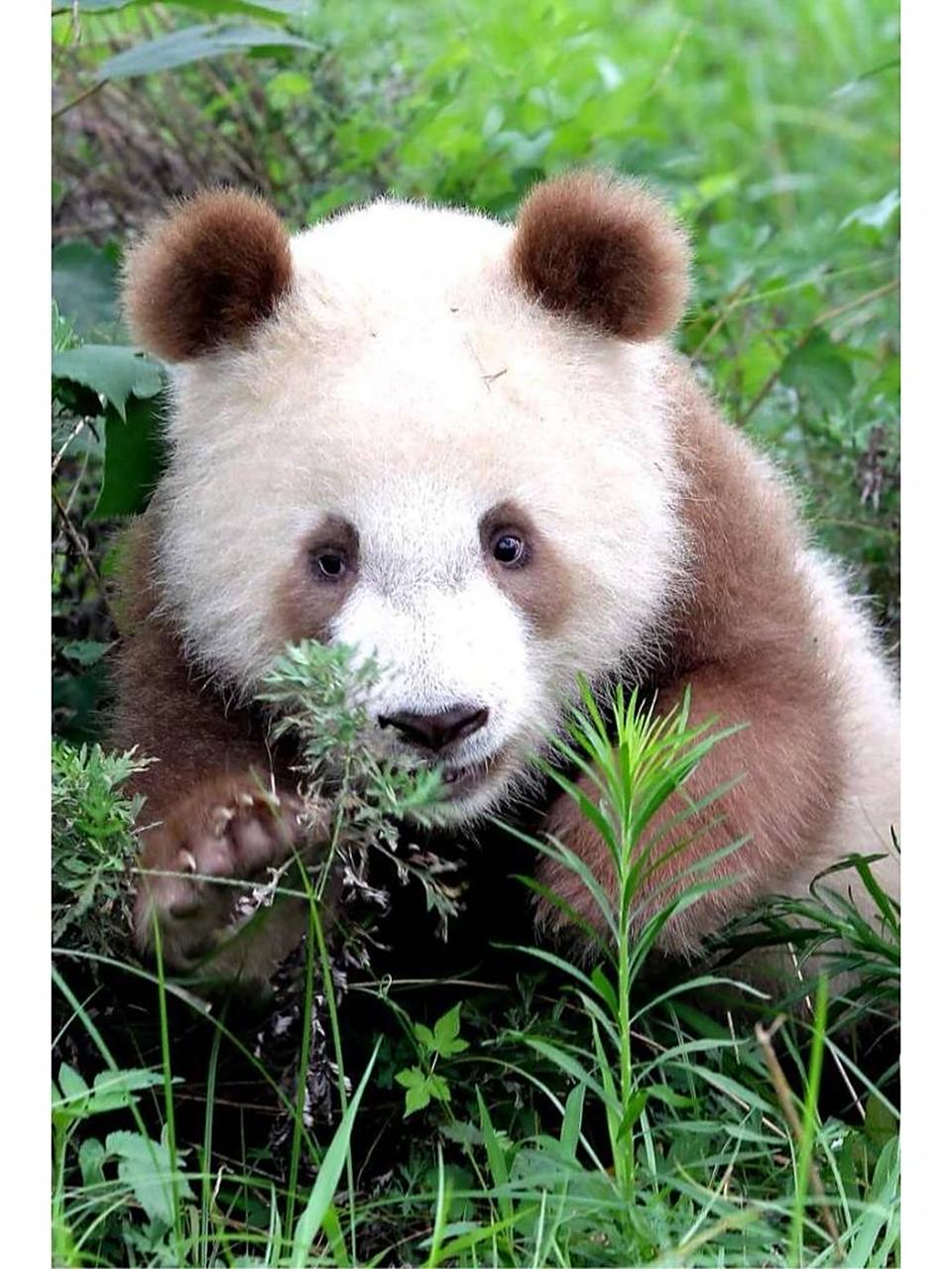 七仔小时候我拍的照片