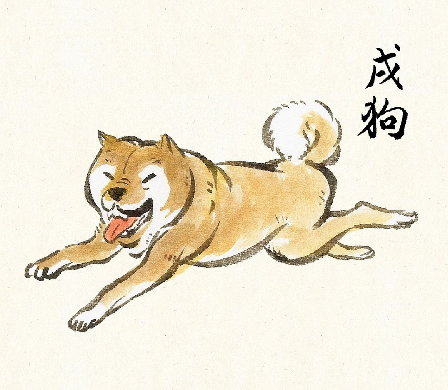 生肖狗运势在哪里看(生肖狗运势在哪里看准确)