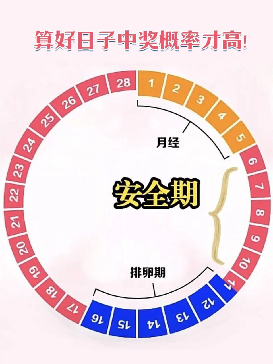 什么时候是安全期?什么时候是排卵期?