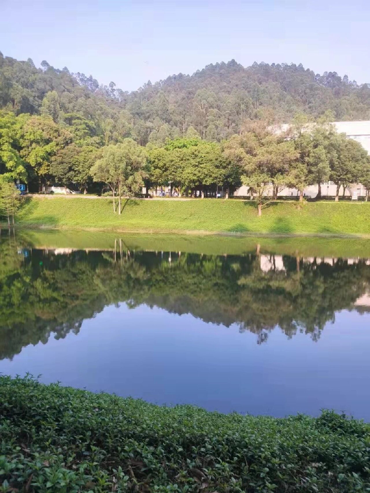 广州番禺职业技术学院‖青山湖78 接下来介绍一下大山的青山湖.