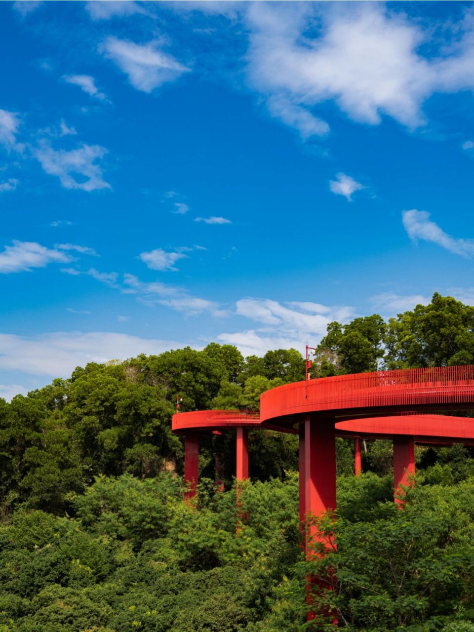 深圳光明92虹桥公园77红桥绿树蓝天白云78 虹桥公园,红桥,网