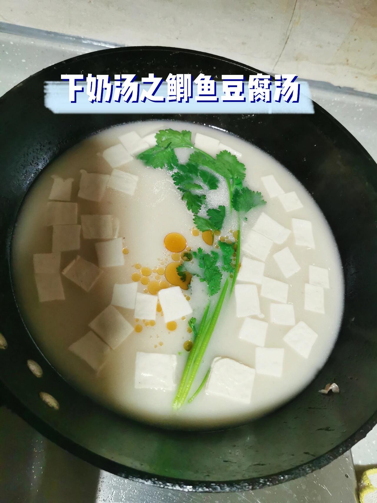 下奶汤之鲫鱼豆腐汤