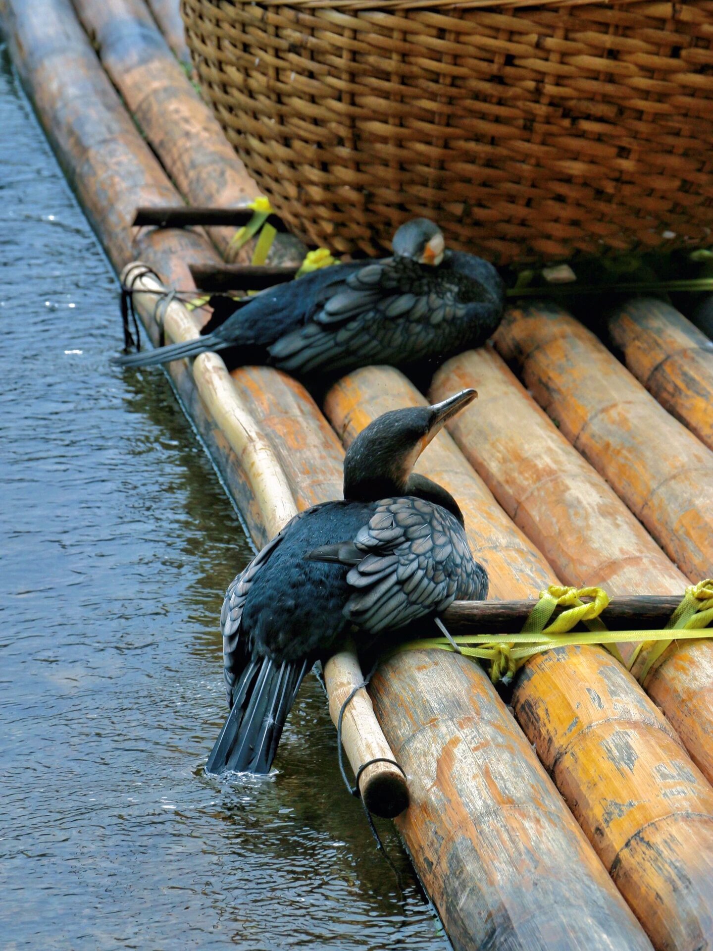 来桂林必打卡20元人民币背景"黄布倒影"9015