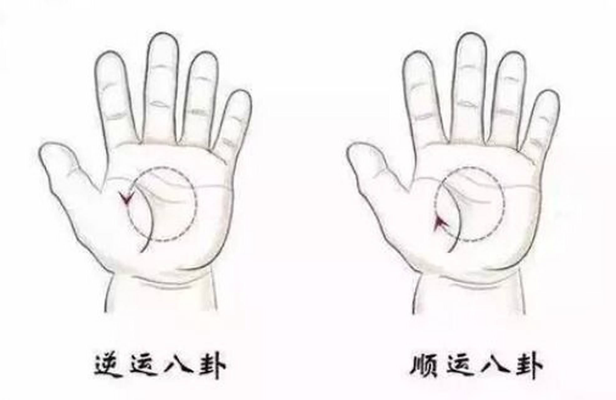 小儿推拿常用穴位之运内八卦72 【内八卦】 八卦的手法一般都是运