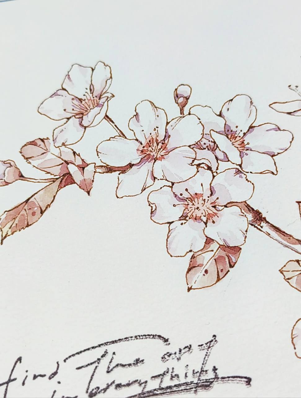 钢笔淡彩|脱稿速写【紫叶李】(已出) 城市记忆活动打卡-day1 搬砖人对