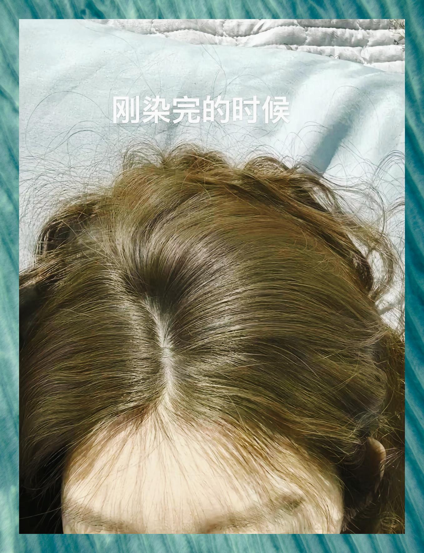 榛果灰棕发色一月褪色记录