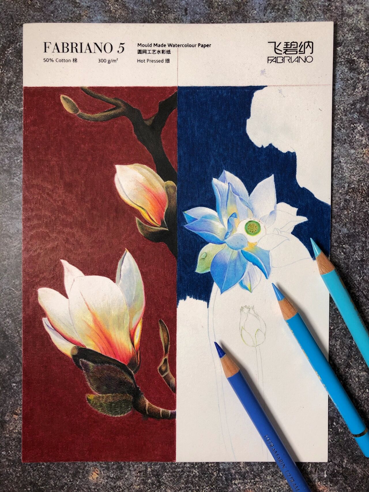 彩铅书签:古风荷花(附步骤) 玉兰步骤参考上篇文章 纸:飞碧纳300克