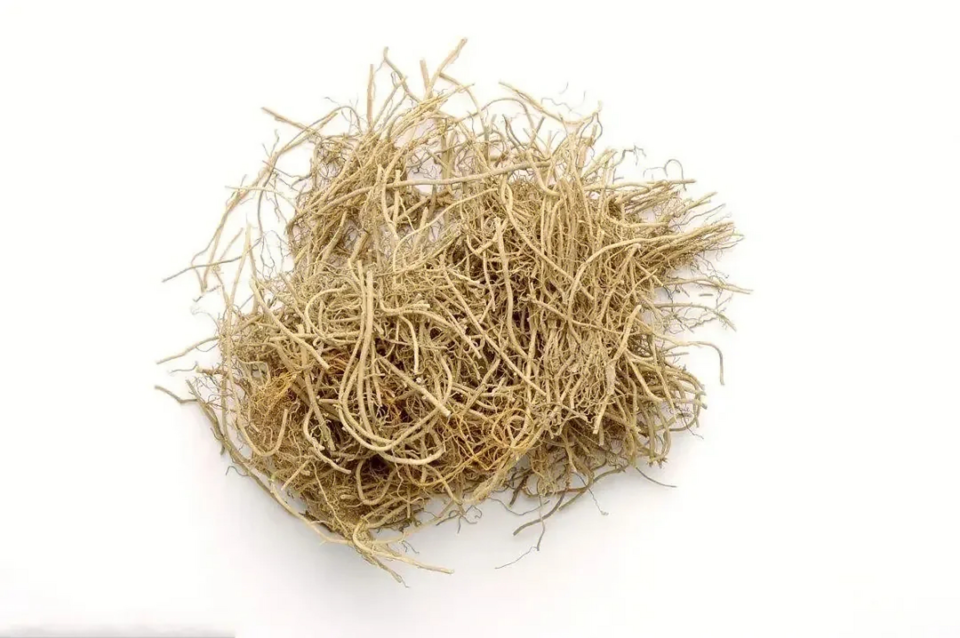 每日认识一位中药⑩ 发散风寒药--细辛 本品为马兜铃科北细辛,汉城