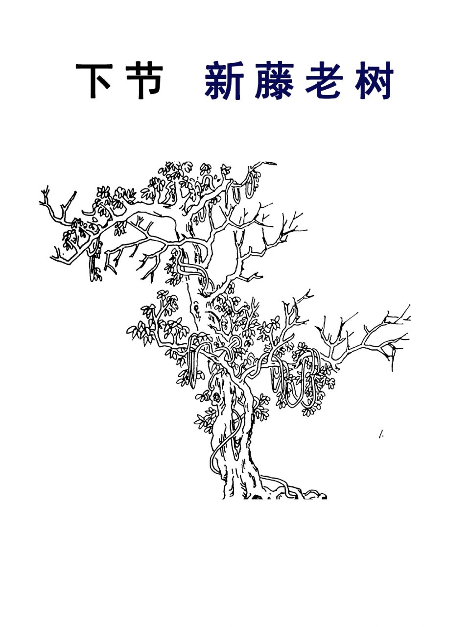 藤条的简笔画步骤图片