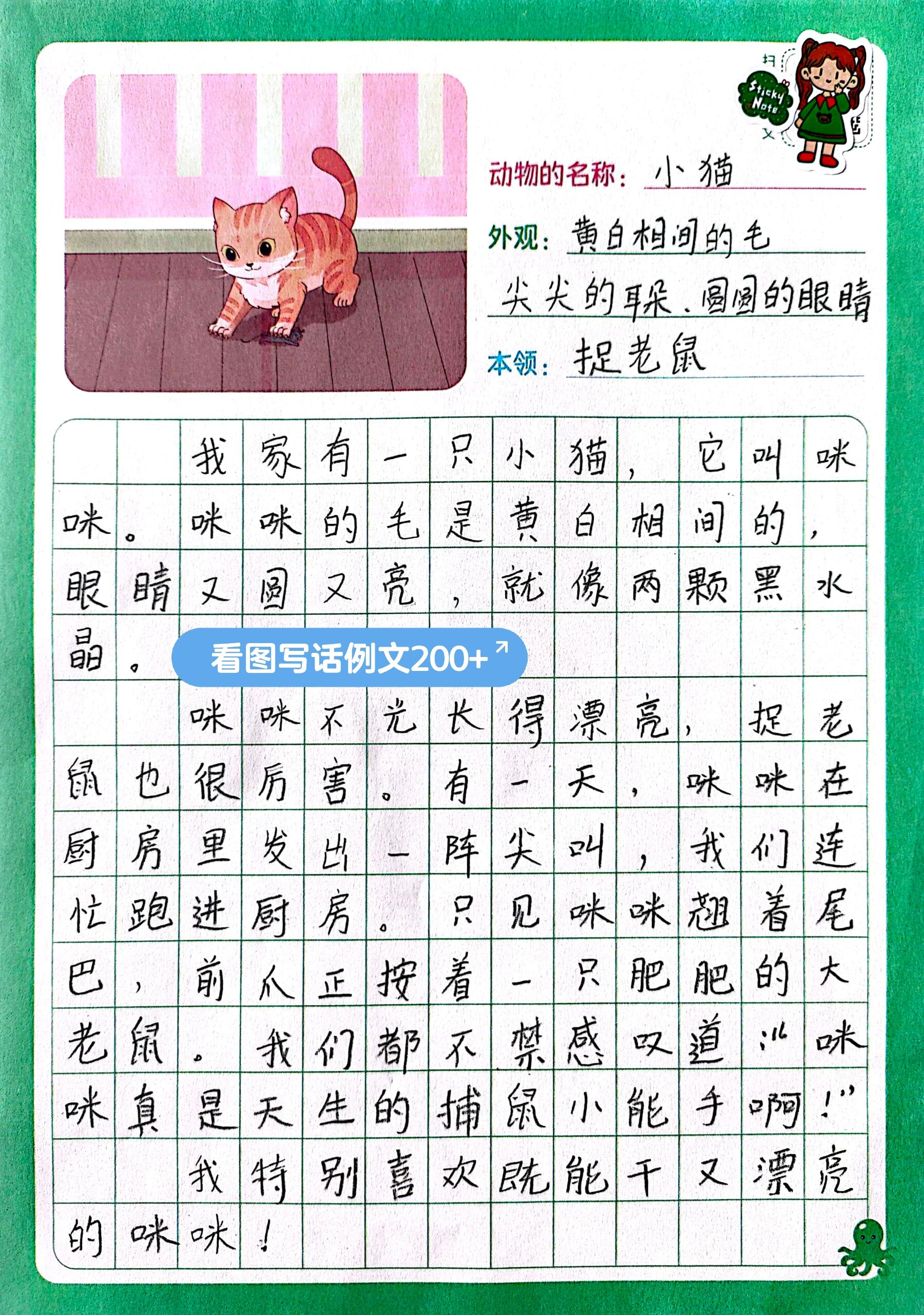 介绍小动物《小猫